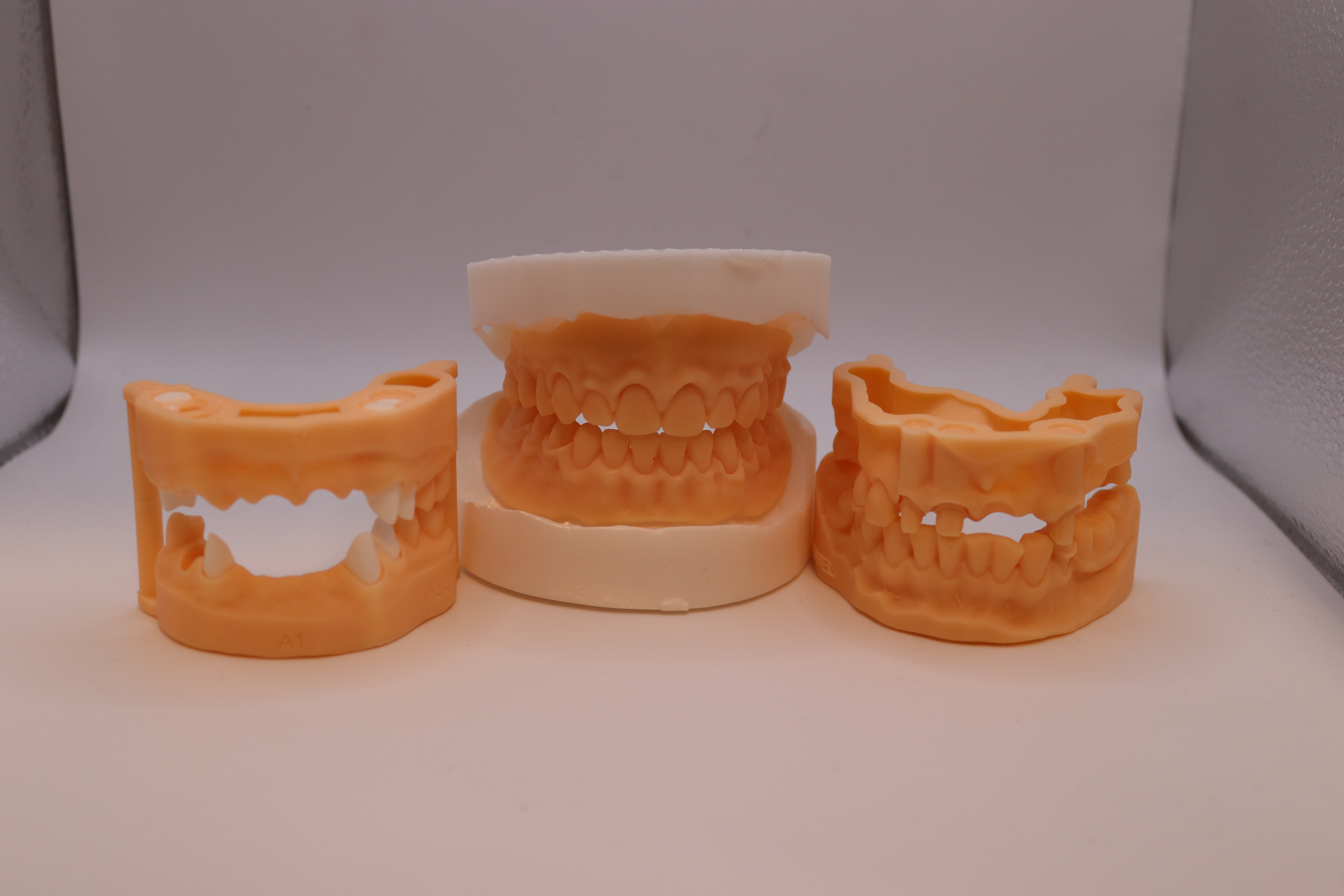Stampa 3D in Odontotecnica